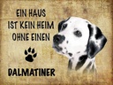 Holzschild 30x40 cm Dalmatiner Hund ohne kein Heim