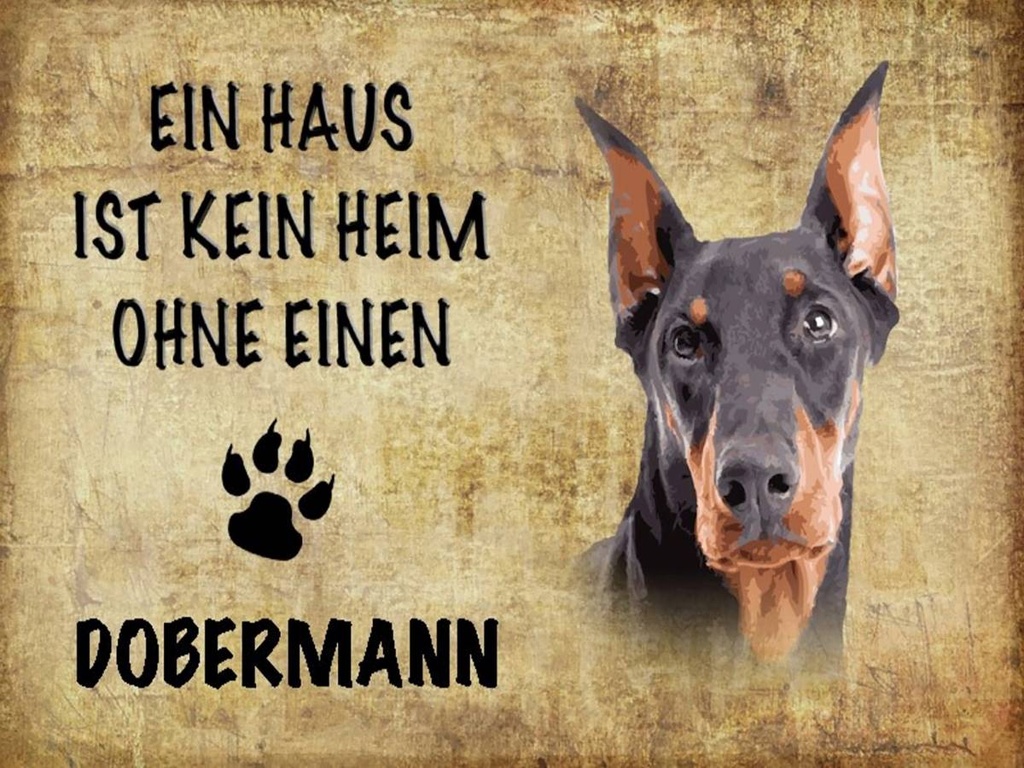 Holzschild 30x40 cm Dobermann Hund ohne kein Heim
