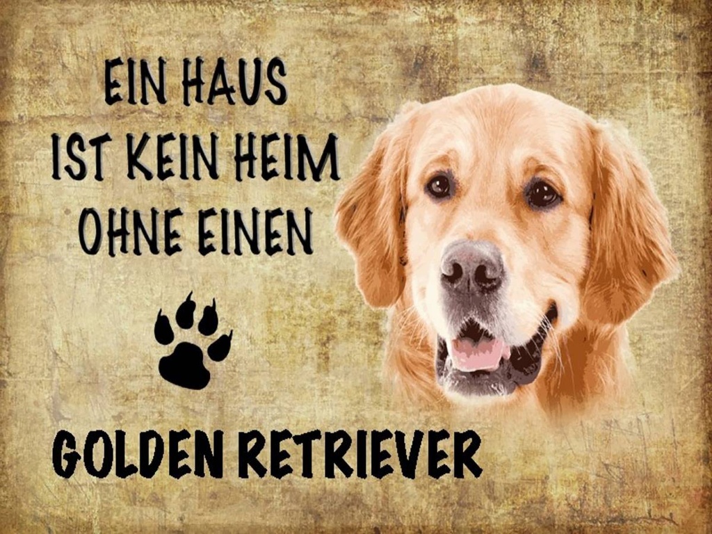Holzschild 30x40 cm Golden Retriever Hund