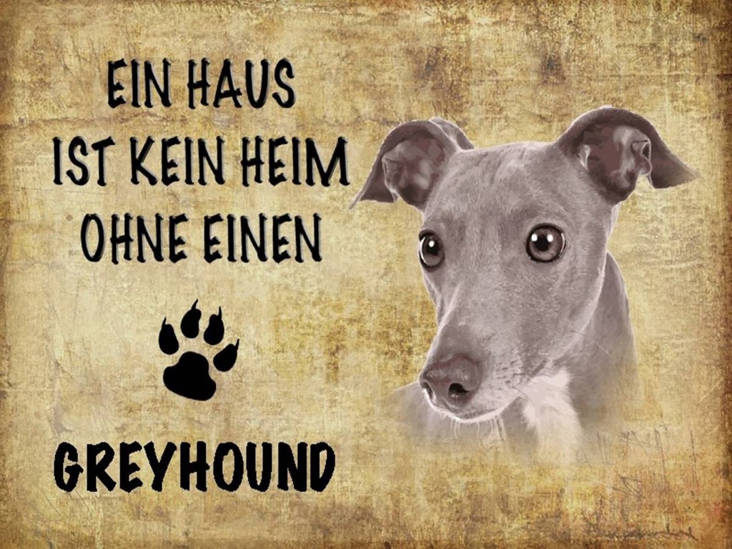 Holzschild 30x40 cm Greyhound Hund ohne kein Heim