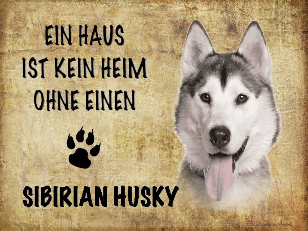 Holzschild 30x40 cm Sibirian Husky Hund
