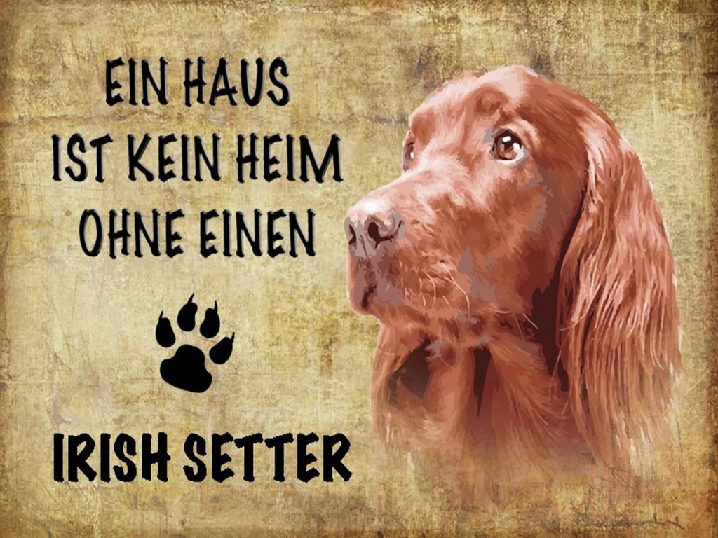 Holzschild 30x40 cm Irish Setter Hund