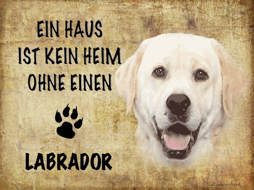 Holzschild 30x40 cm Labrador Hund ohne kein Heim