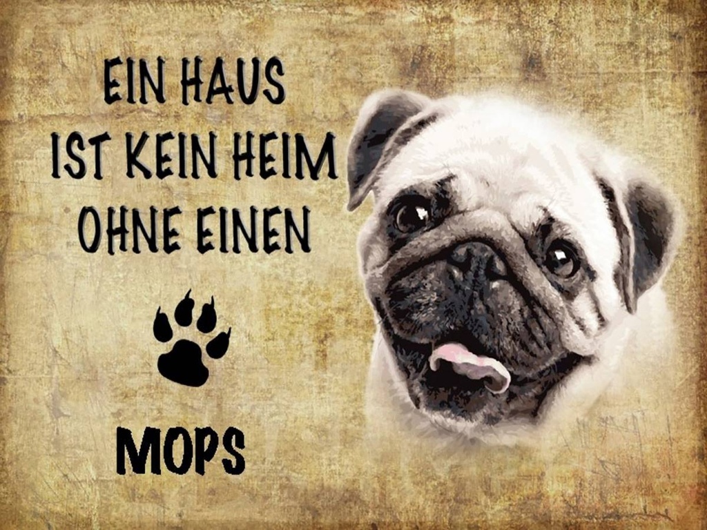 Holzschild 30x40 cm Mops Hund
