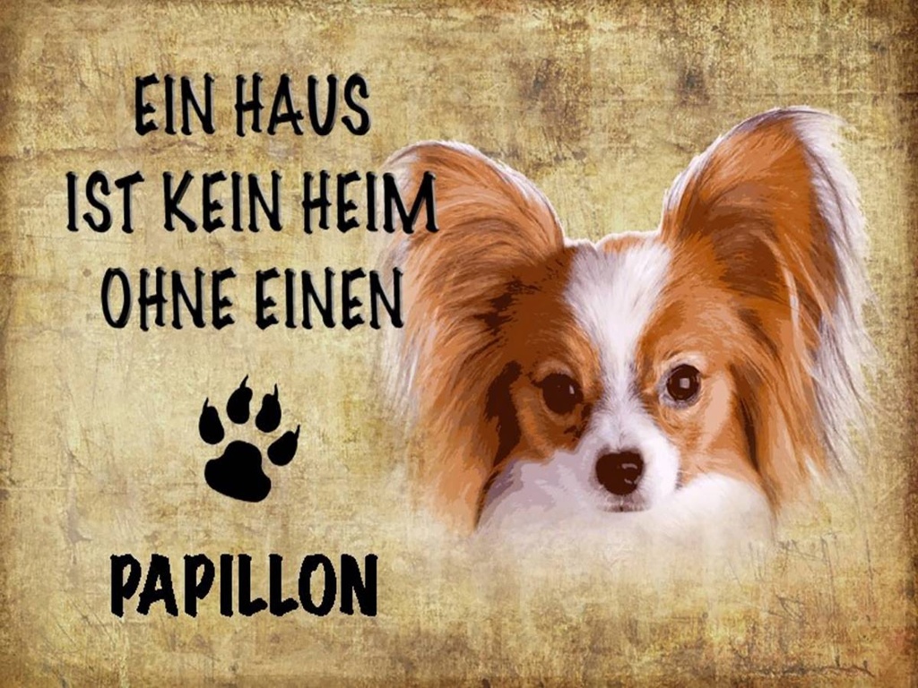 Holzschild 30x40 cm Papillon Hund ohne kein Heim
