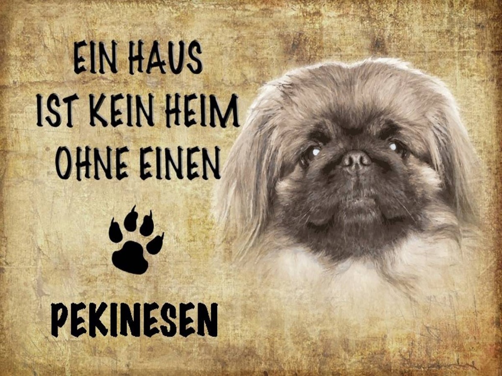Holzschild 30x40 cm Pekinesen Hund ohne kein Heim