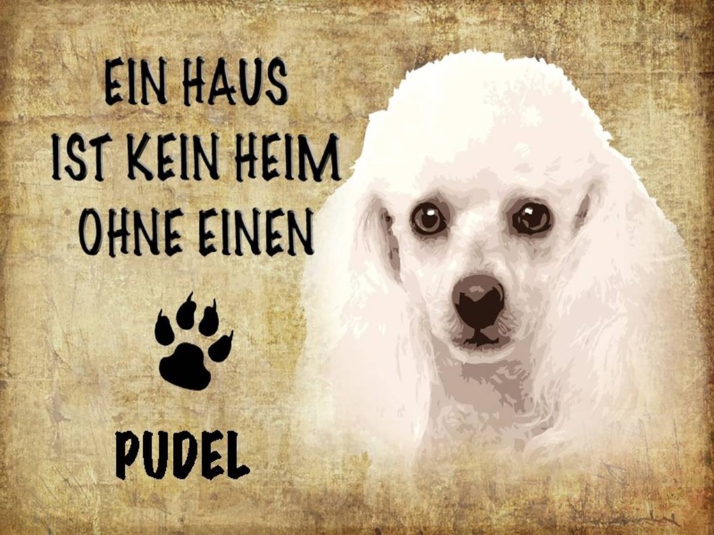 Holzschild 30x40 cm Pudel Hund