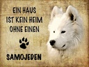 Holzschild 30x40 cm Samojeden Hund ohne kein Heim