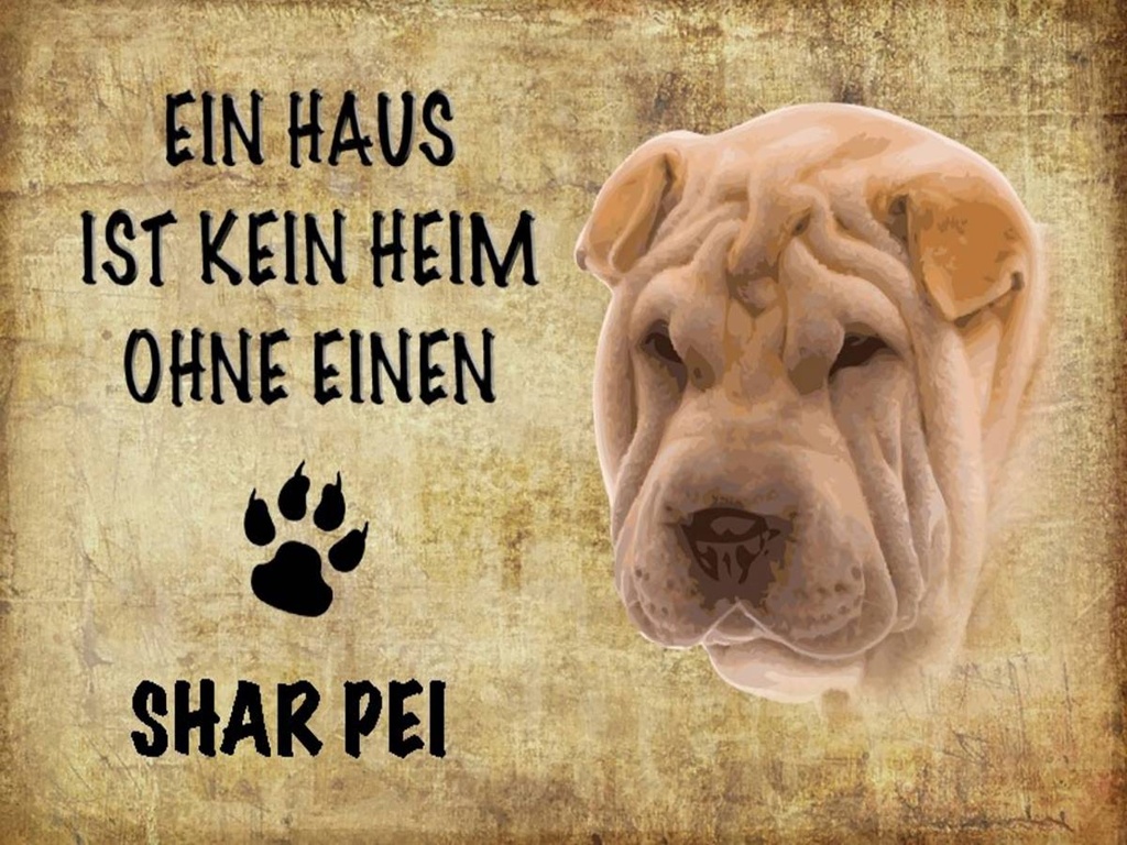 Holzschild 30x40 cm Shar Pei Hund
