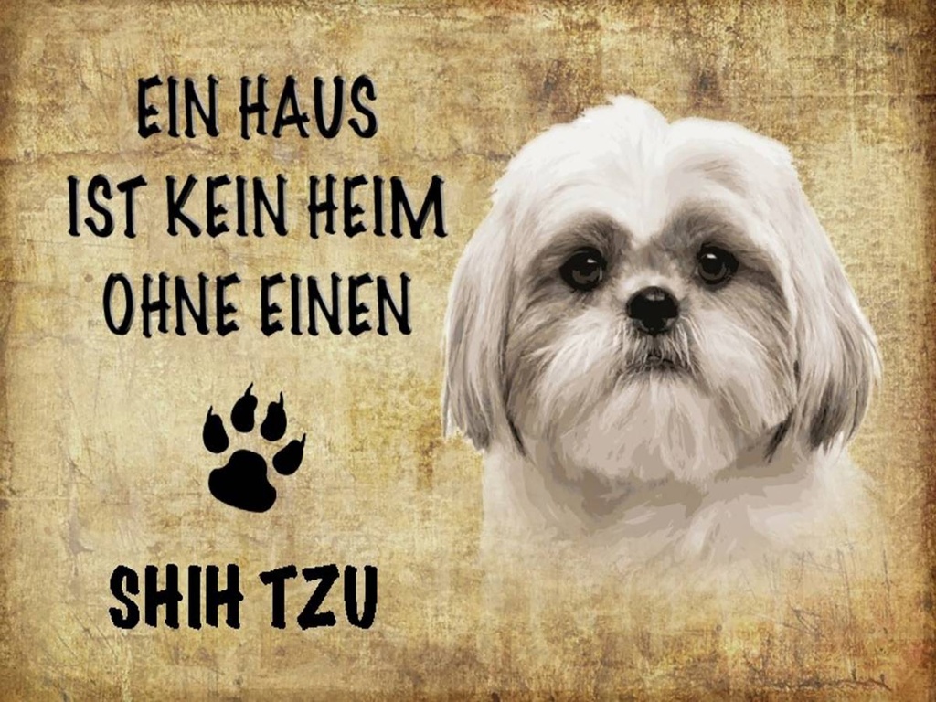 Holzschild 30x40 cm Shih Tzu Hund