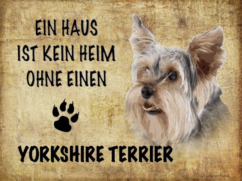 Holzschild 30x40 cm Yorkshire Terrier Hund