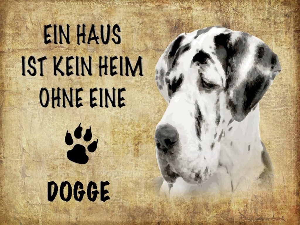 Holzschild 30x40 cm Dogge Hund
