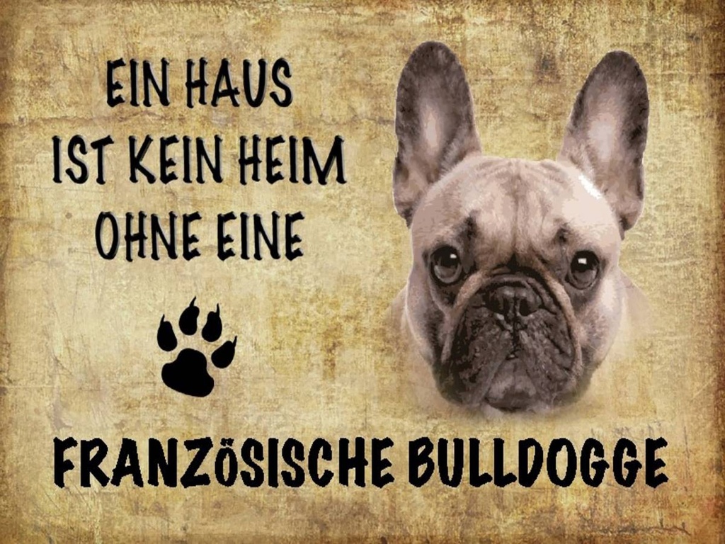 Holzschild 30x40 cm Französische Bulldogge Hund