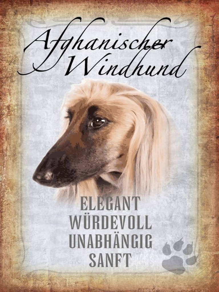 Holzschild 40x30 cm Afghanischer Windhund Hund