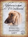 Holzschild 40x30 cm Afghanischer Windhund Hund