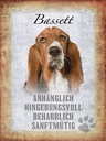 Holzschild 40x30 cm Bassett Hund