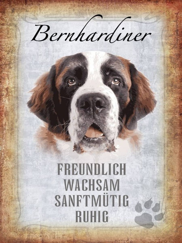 Holzschild 40x30 cm Bernhardiner Hund