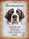Holzschild 40x30 cm Bernhardiner Hund