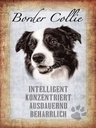 Holzschild 40x30 cm Border Collie Hund
