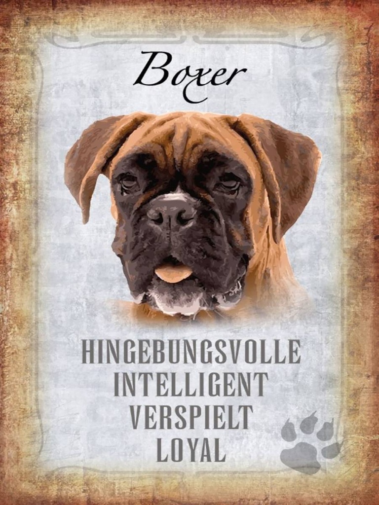 Holzschild 40x30 cm Boxer Hund intelligent
