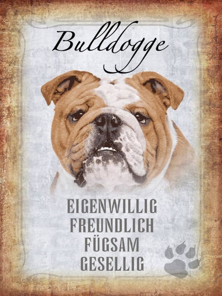 Holzschild 40x30 cm Bulldogge Hund gesellig