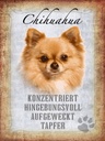 Holzschild 40x30 cm Chihuahua Hund tapfer