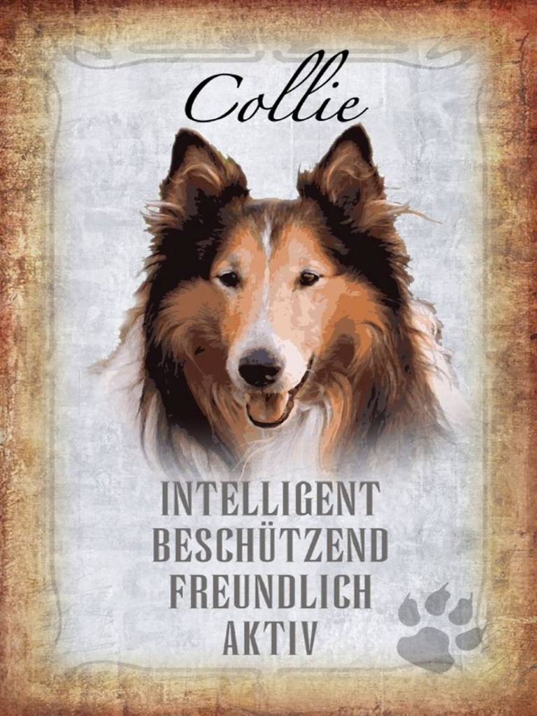 Holzschild 40x30 cm Collie Hund freundlich