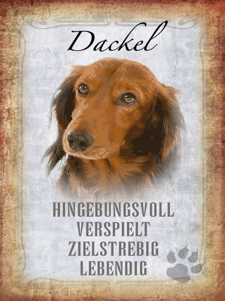 Holzschild 40x30 cm Dackel Hund lebendig