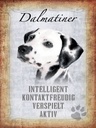 Holzschild 40x30 cm Dalmatiner Hund