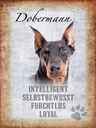 Holzschild 40x30 cm Dobermann Hund loyal