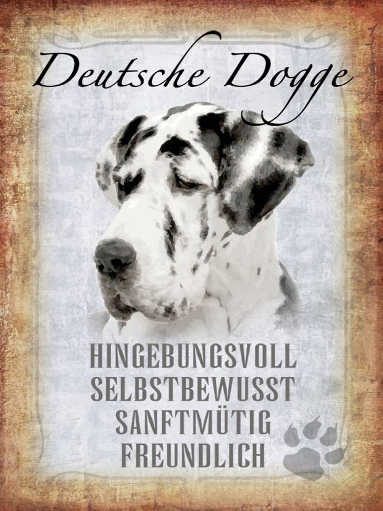 Holzschild 40x30 cm Deutsche Dogge Hund