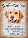 Holzschild 40x30 cm Golden Retriever Hund