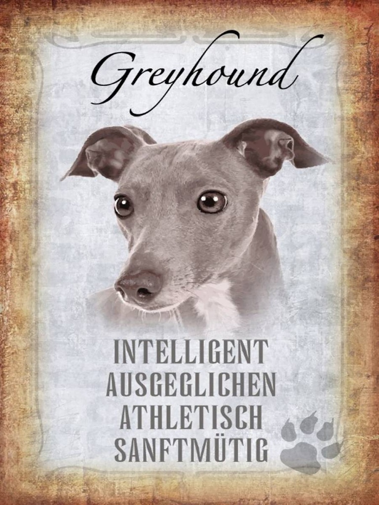 Holzschild 40x30 cm Greyhound Hund