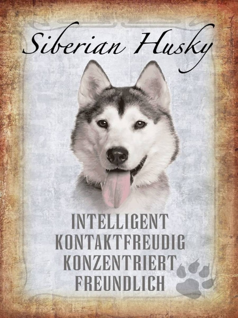 Holzschild 40x30 cm Siberian Husky Hund
