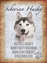 Holzschild 40x30 cm Siberian Husky Hund