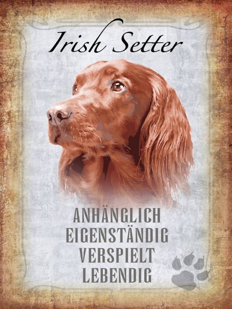 Holzschild 40x30 cm Irish Setter Hund