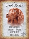 Holzschild 40x30 cm Irish Setter Hund