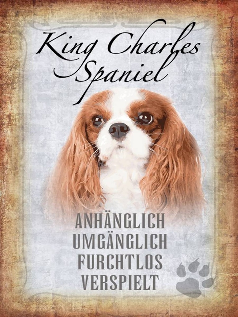 Holzschild 40x30 cm King Charles Spaniel Hund