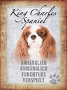 Holzschild 40x30 cm King Charles Spaniel Hund