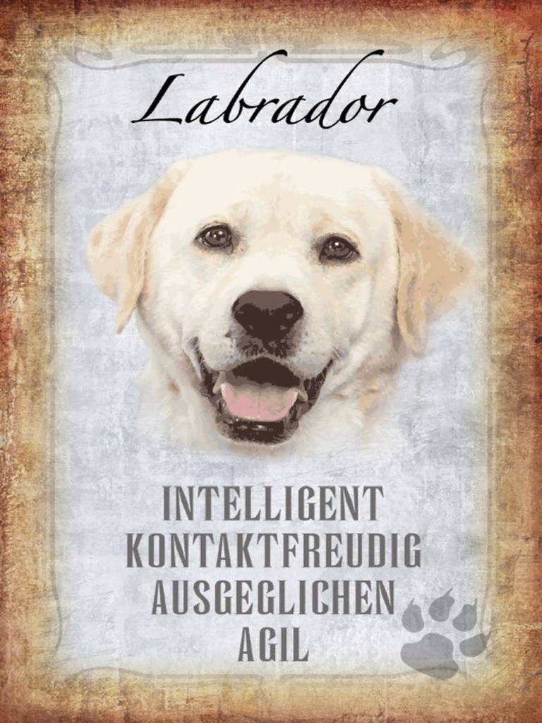 Holzschild 40x30 cm Labrador Hund