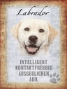 Holzschild 40x30 cm Labrador Hund