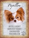 Holzschild 40x30 cm Papillon Hund