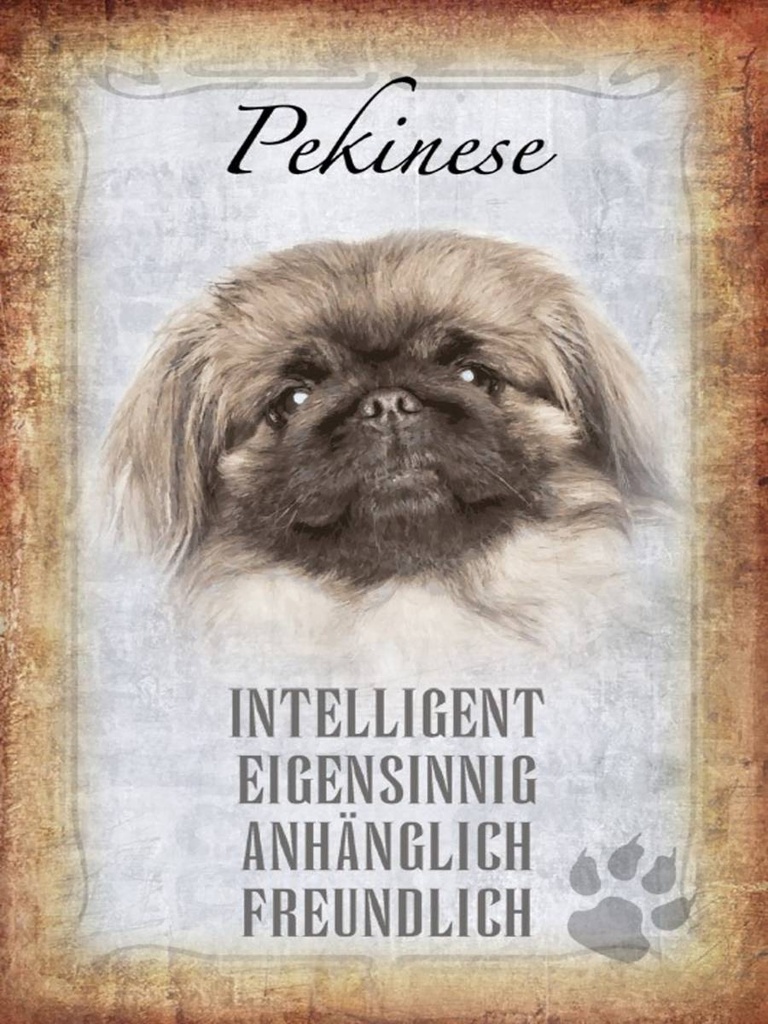 Holzschild 40x30 cm Pekinese Hund