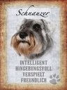 Holzschild 40x30 cm Schnauzer Hund