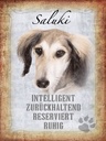 Holzschild 40x30 cm Saluki Hund ruhig