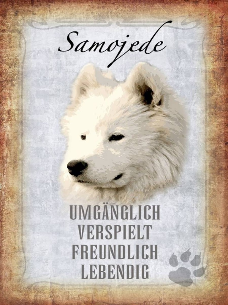 Holzschild 40x30 cm Samojede Hund