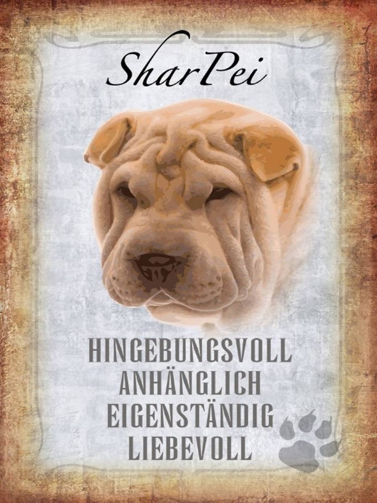 Holzschild 40x30 cm Shar Pei Hund