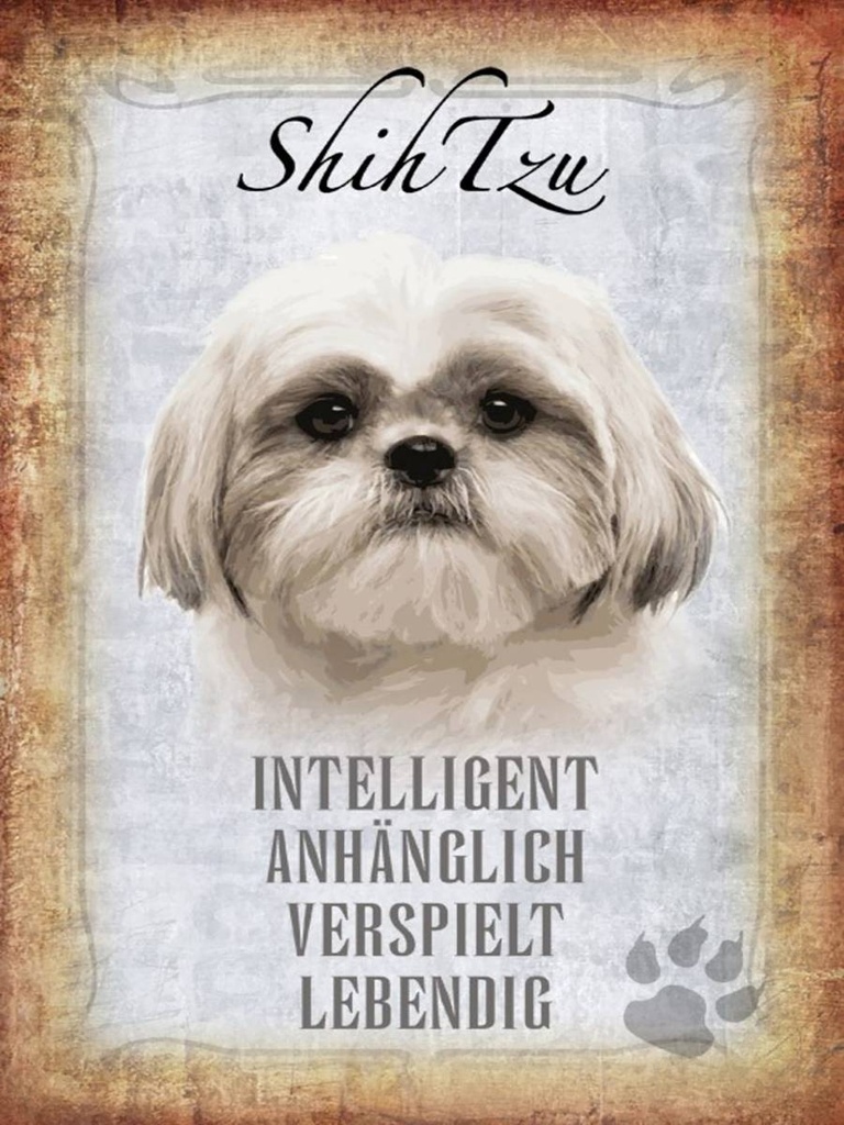 Holzschild 40x30 cm Shih Tzu Hund