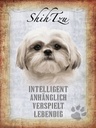 Holzschild 40x30 cm Shih Tzu Hund
