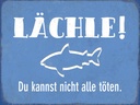 Holzschild 30x40 cm lächle Du kannst nicht alle